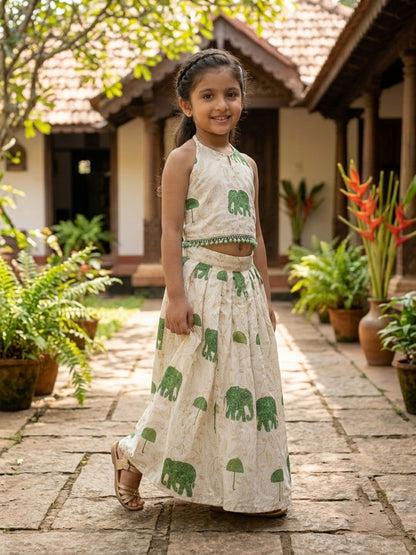 Designer type kerala model elephant design pattu pavada for kids